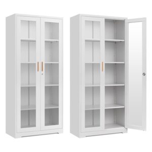 GlassFront Display Storage Cabinet